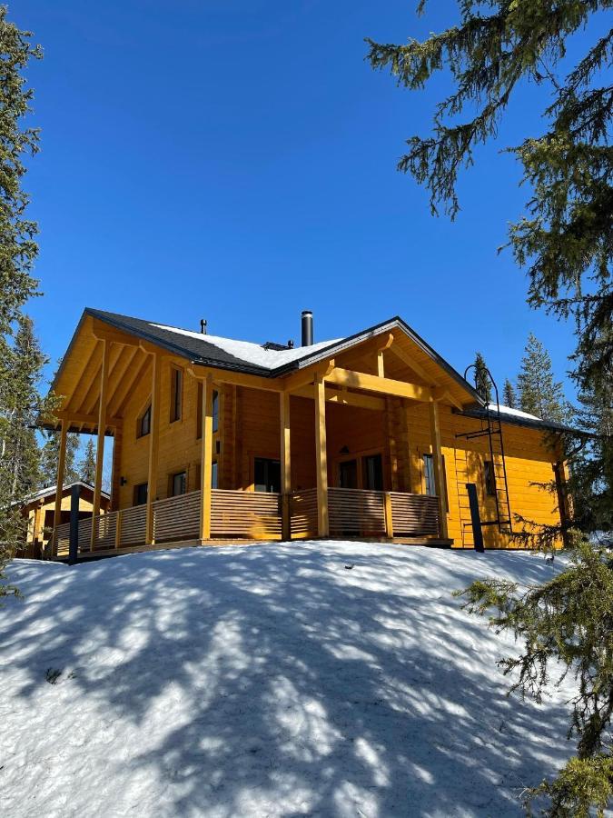 Lapland Dream Villas Rauhala Dış mekan fotoğraf