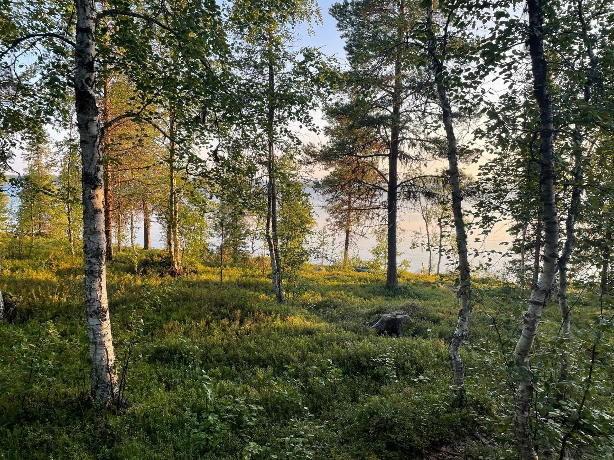 Lapland Dream Villas Rauhala Dış mekan fotoğraf