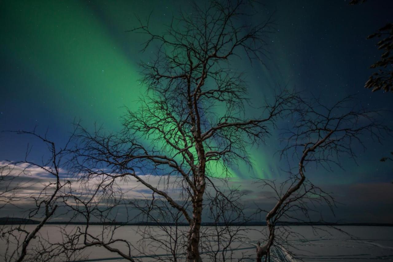 Lapland Dream Villas Rauhala Dış mekan fotoğraf