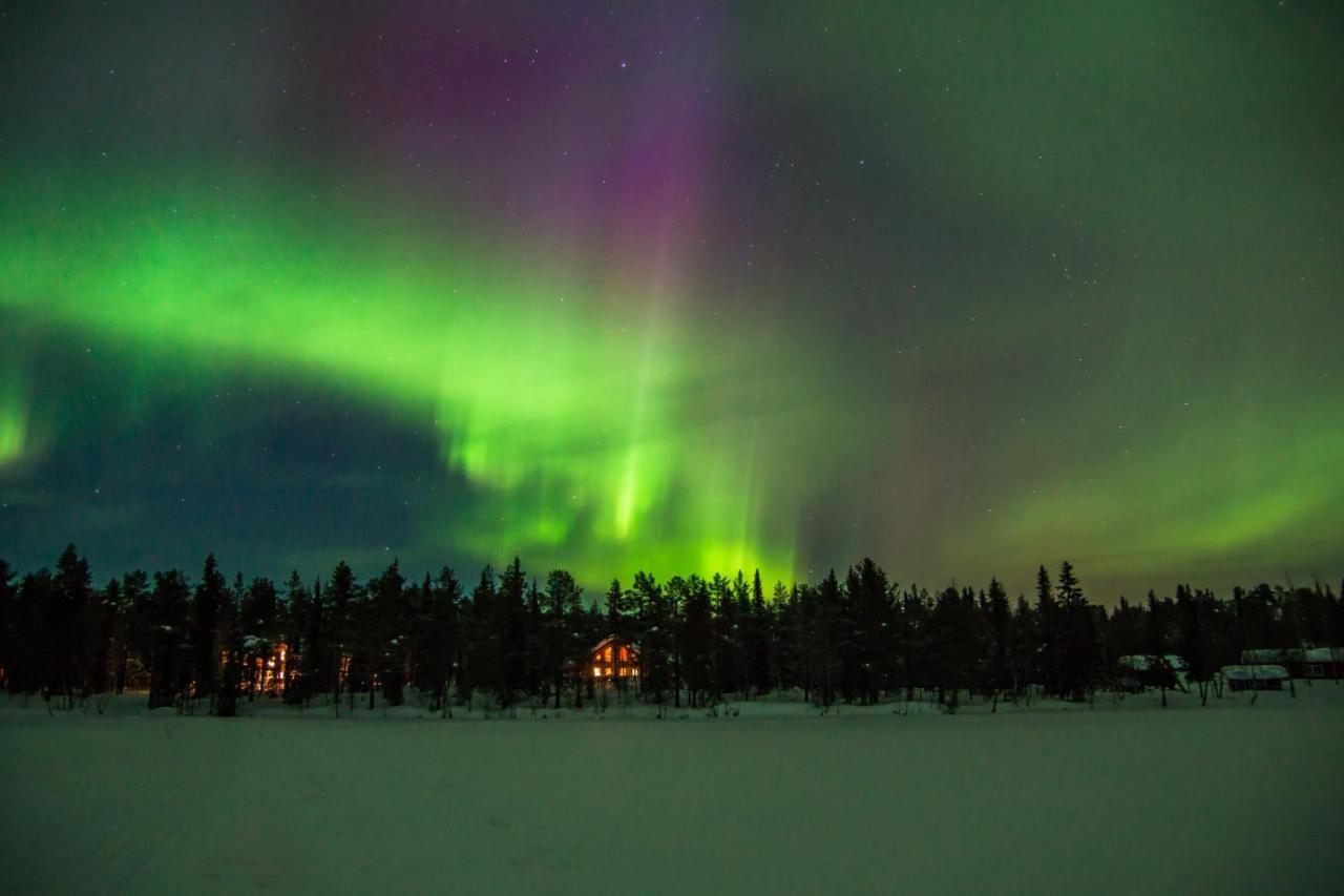 Lapland Dream Villas Rauhala Dış mekan fotoğraf
