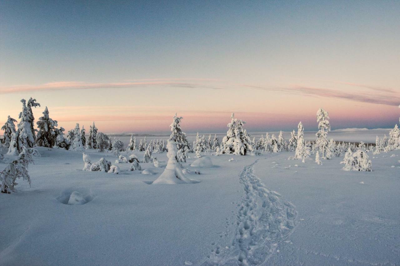 Lapland Dream Villas Rauhala Dış mekan fotoğraf